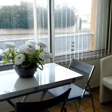 Studio A Agde Avec Piscine Partagee Et Terrasse Amenagee A 50 M De La Plage آجد
